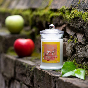 Scented Soy Candles - Apple & Mint Blends - Apple Mint