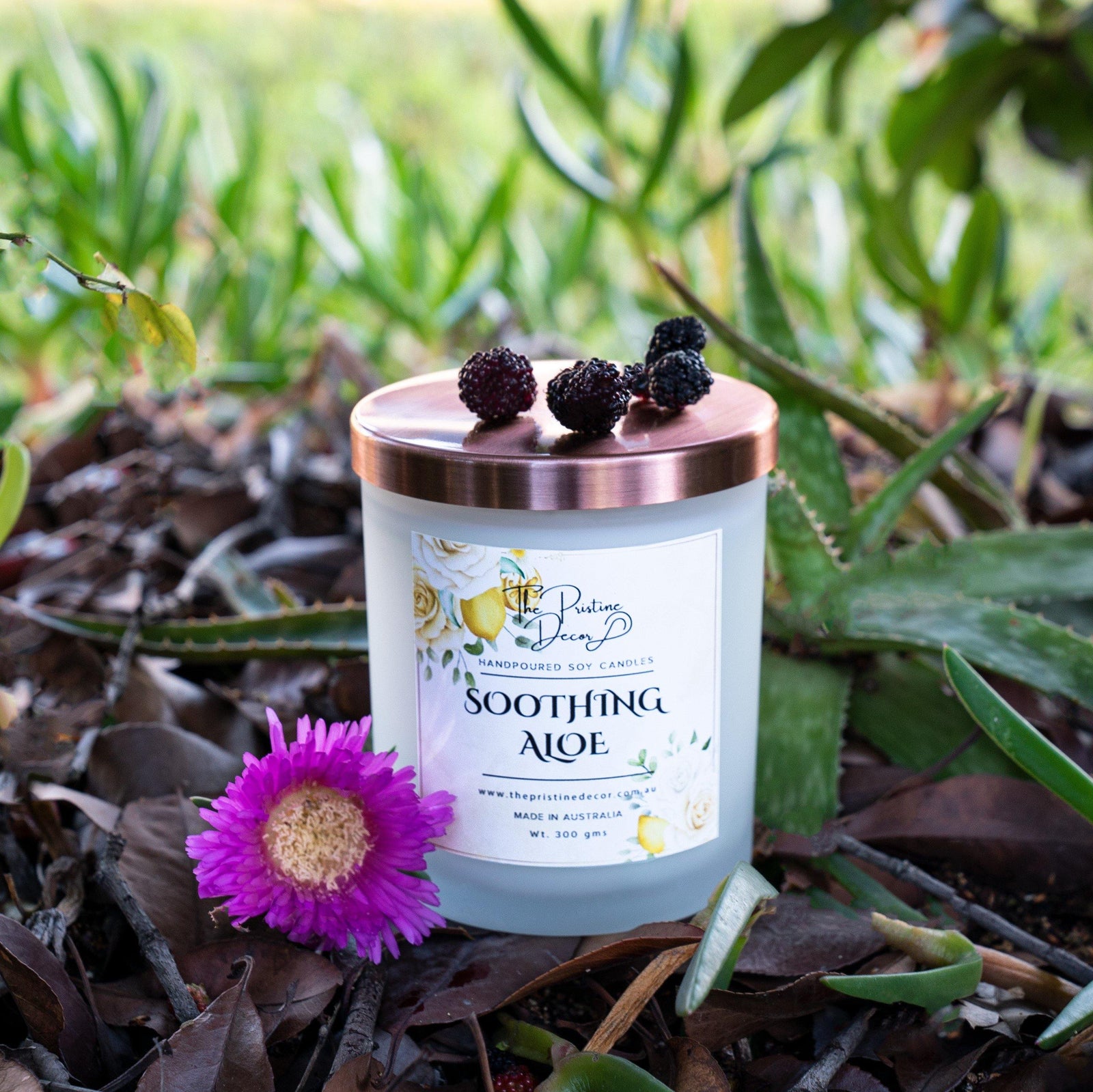 Scented Soy Candles - Acai, Palms & Aloe blend - Soothing Aloe